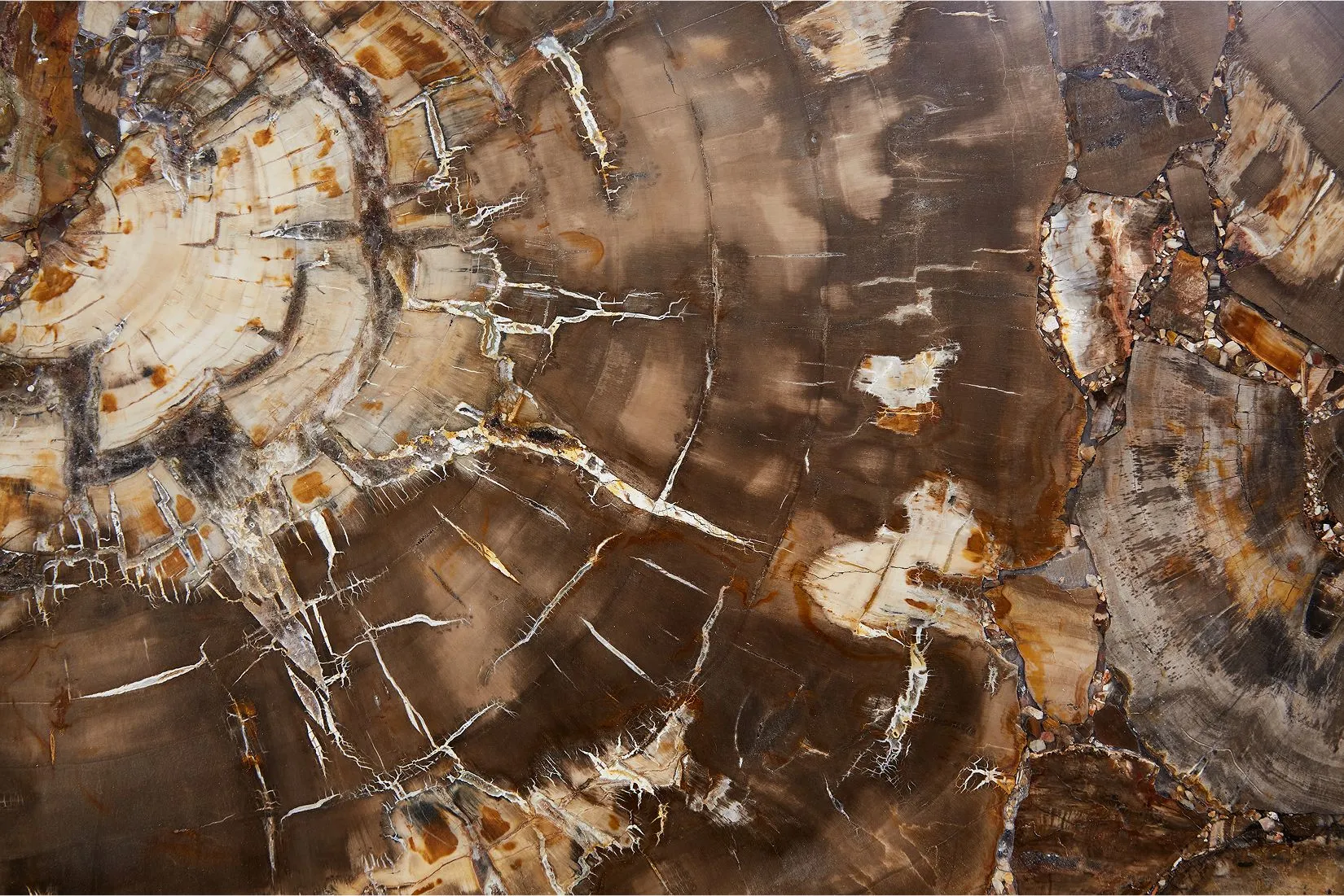 Браун Пьетрифид Вуд