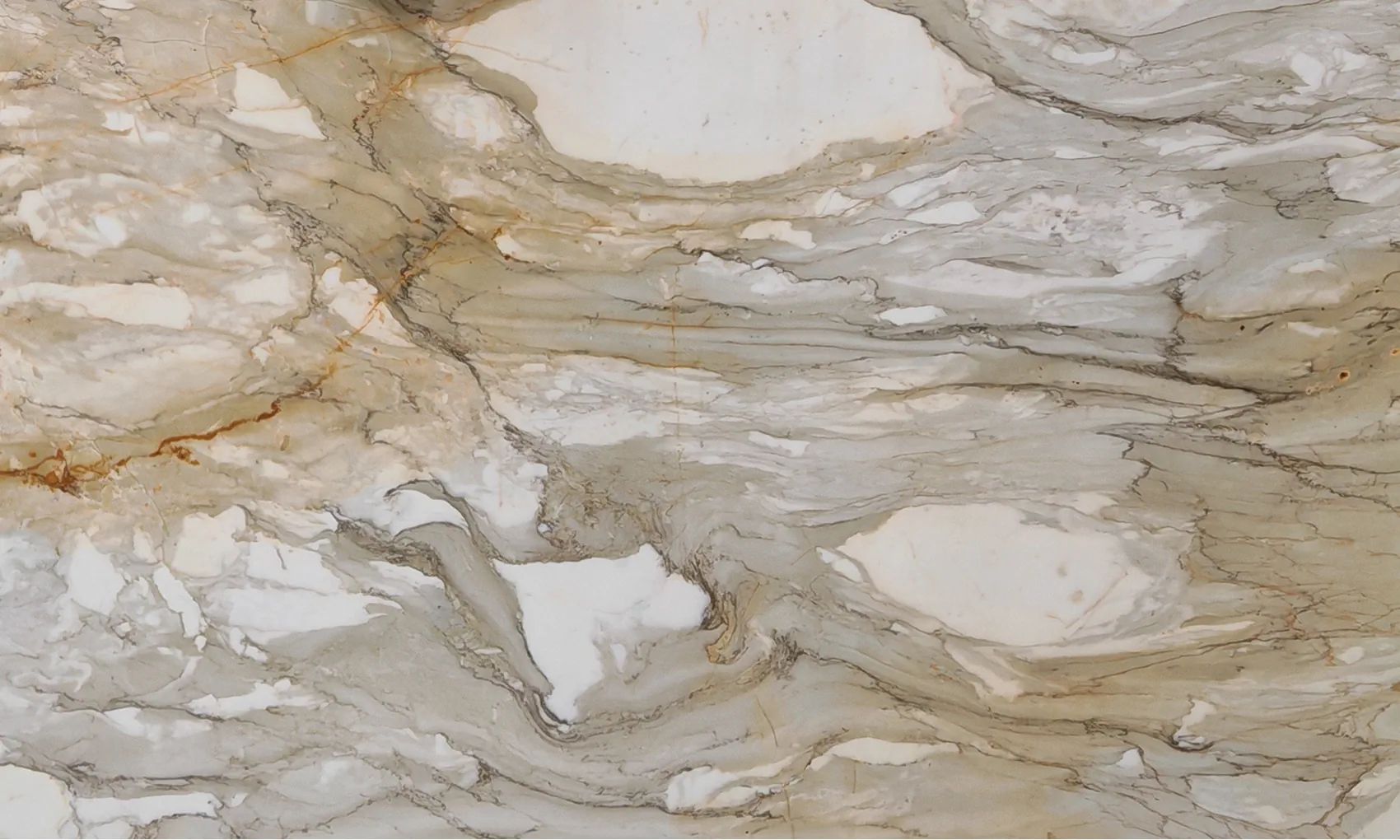 Калакатта Боргини