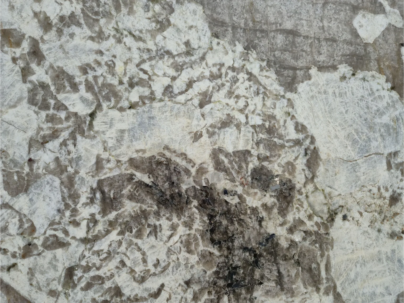 Деликатус Вайт