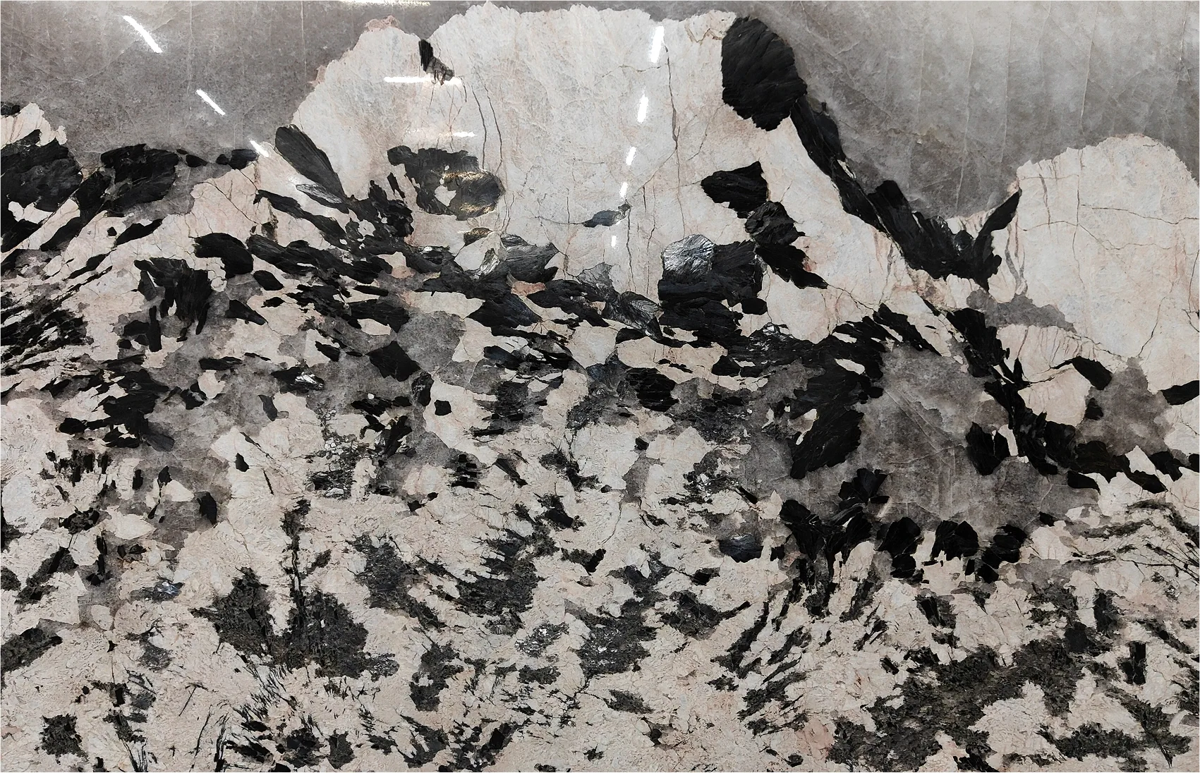 Патагония Тайгер