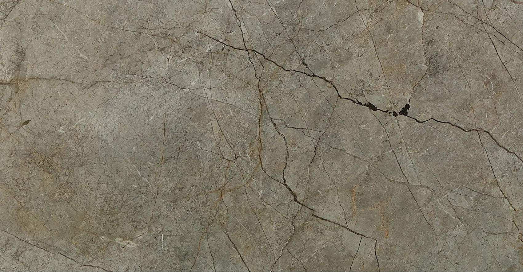 Фантастик Грей