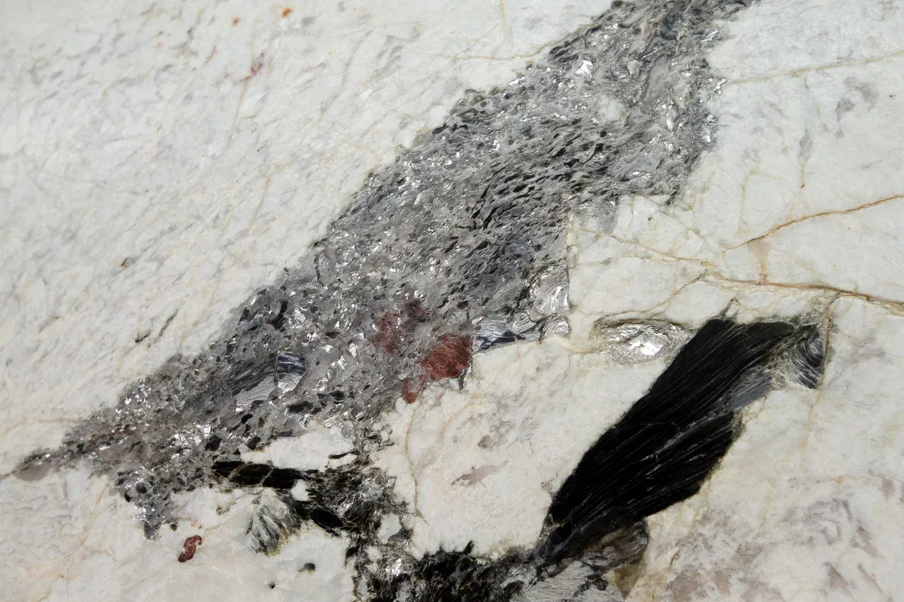 Глэйсер Вайт