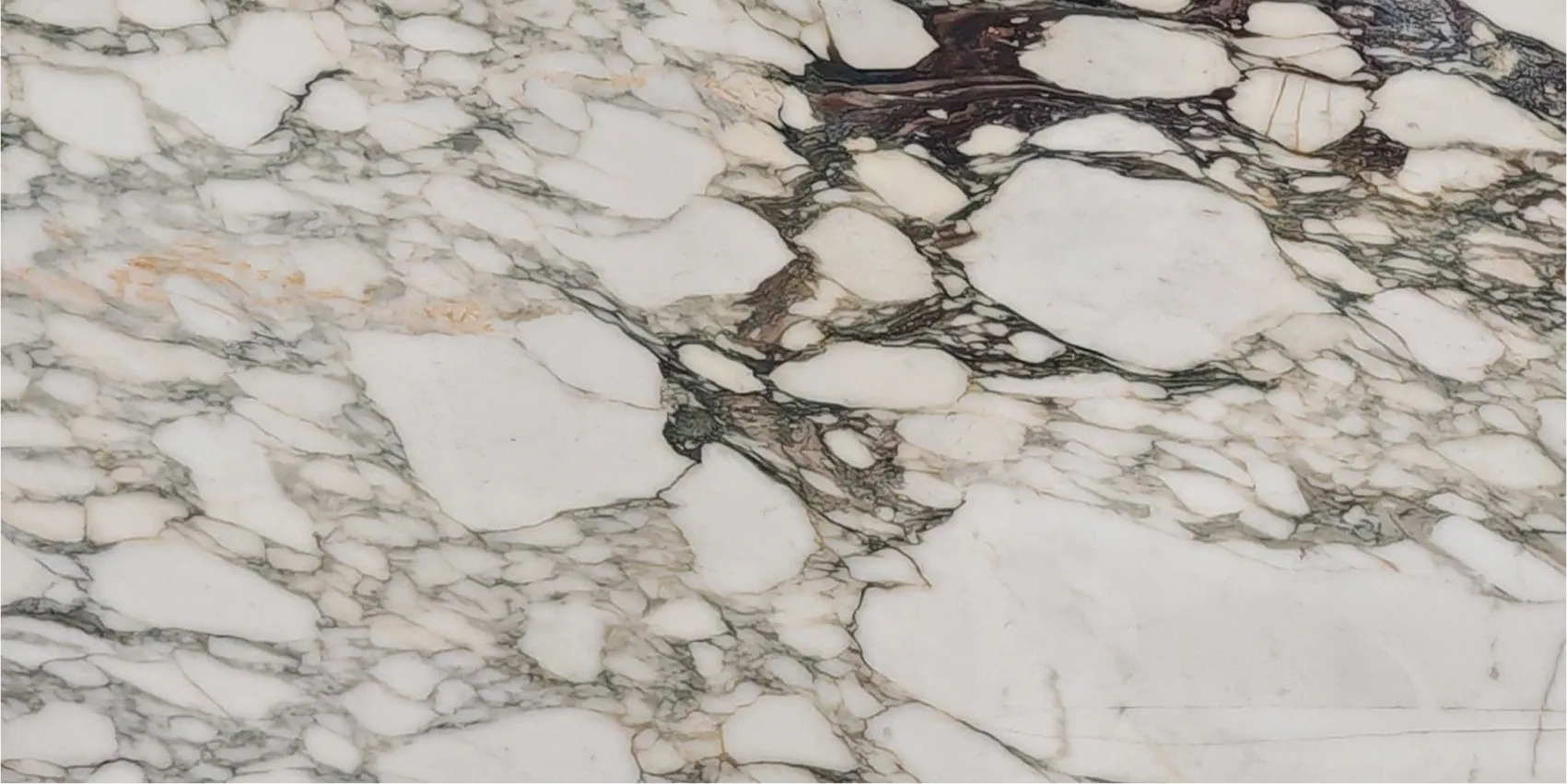 Брекчия Капрая Экстра