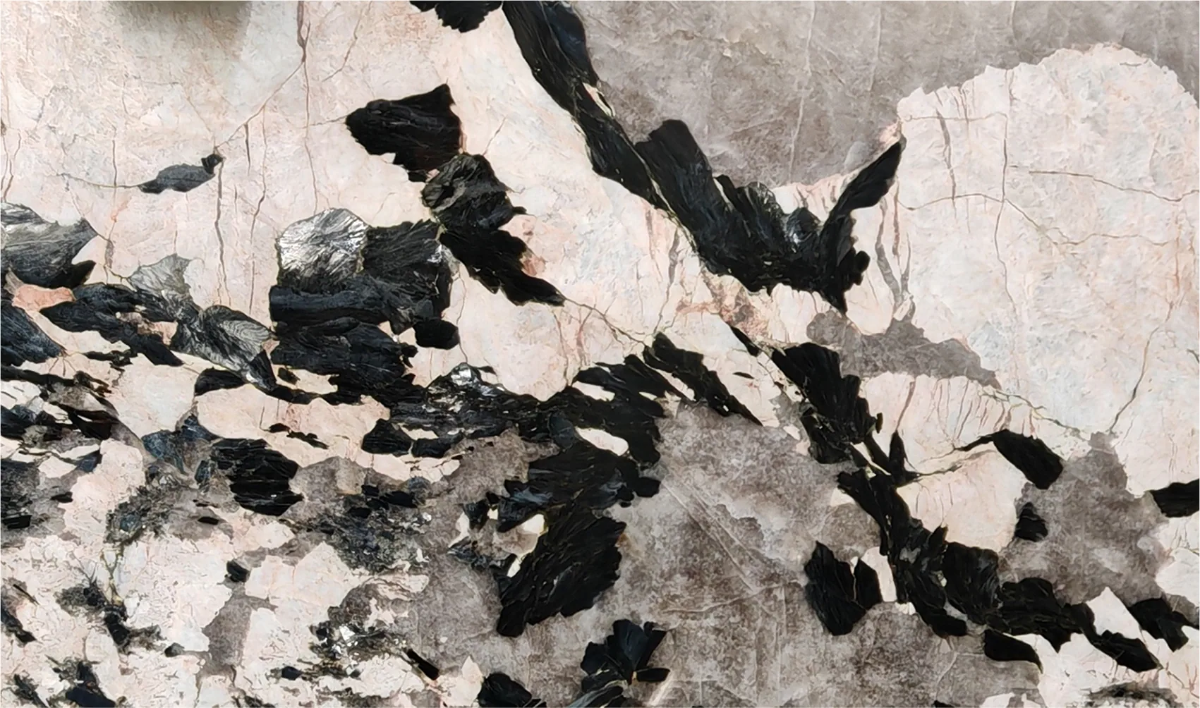 Патагония Тайгер