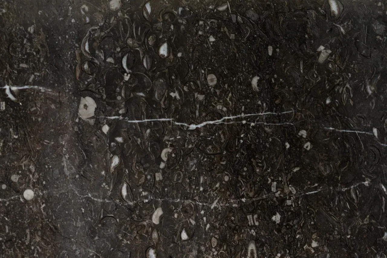 Денвер Грей